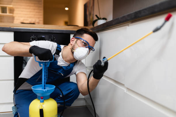Best Exterminator Services  in Pueblo, CO