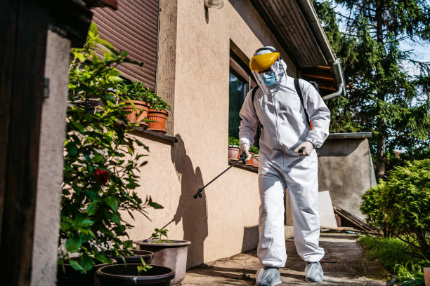 Best Insect Control  in Pueblo, CO