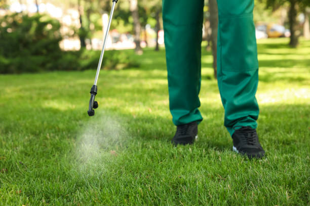 Best Wasp Removal Services  in Pueblo, CO