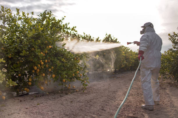 Best Affordable Pest Control Services  in Pueblo, CO