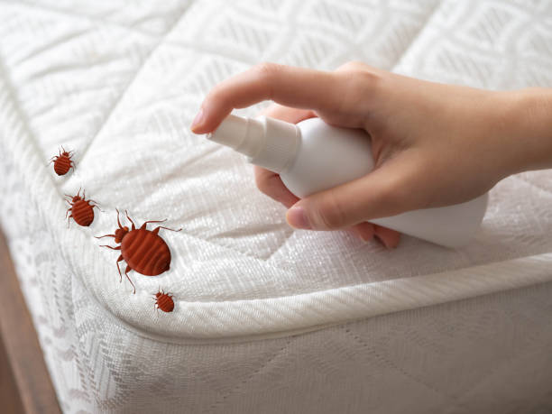 Best Bed Bug Extermination  in Pueblo, CO