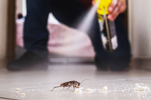 Best Pest Removal Services  in Pueblo, CO